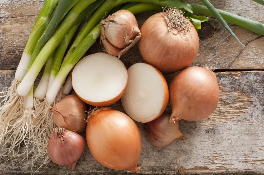 12 de los mejores sustitutos de cebolla