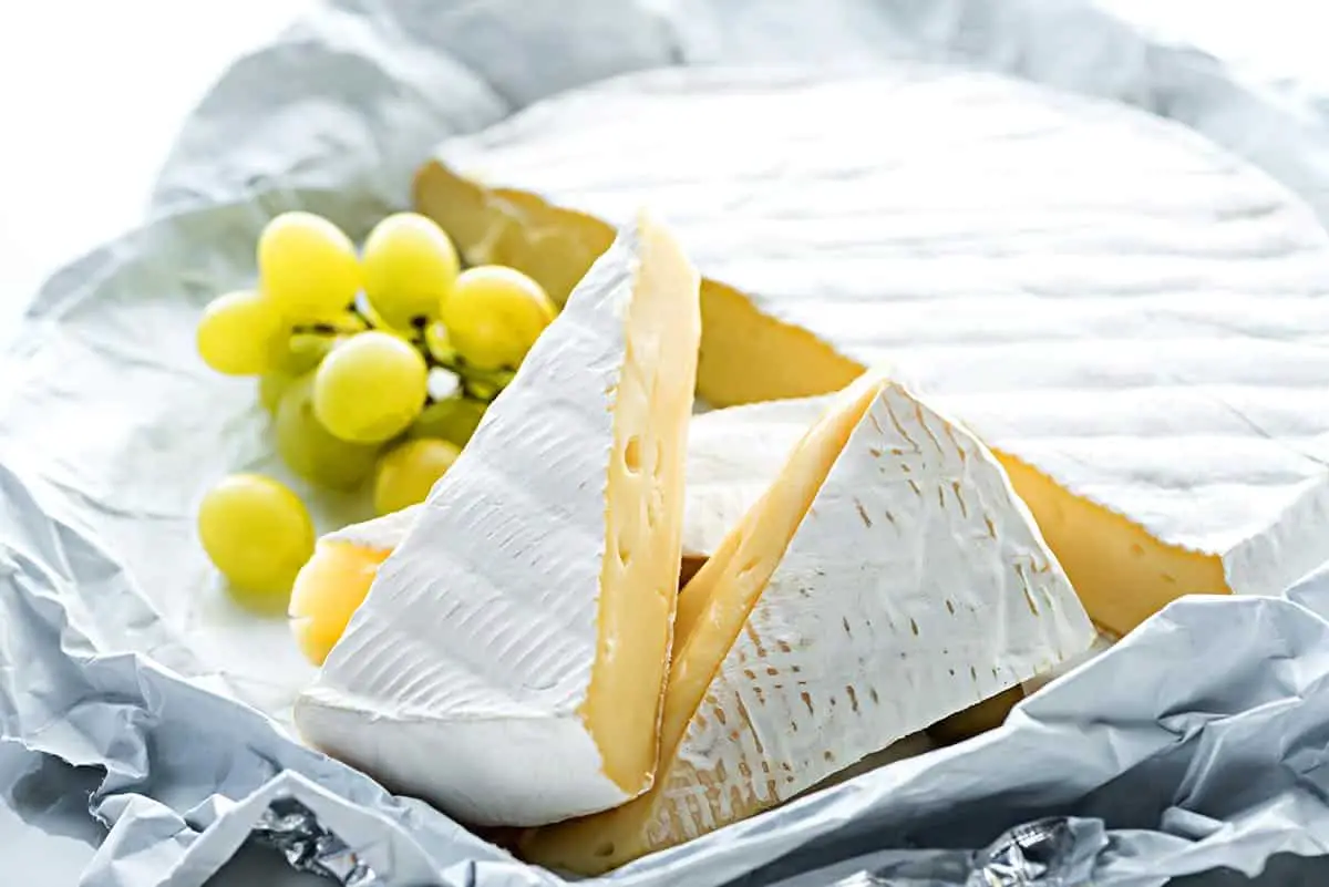 15 mejores sustitutos del queso Brie