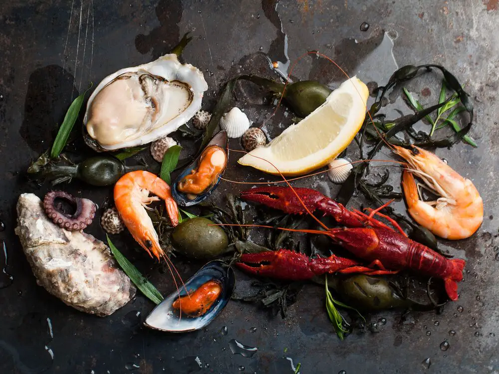 Los 10 mejores libros de cocina de mariscos que lo ayudarán a convertirse en un mejor cocinero