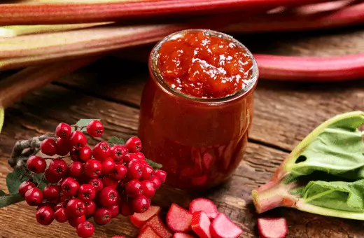 11 sustitutos ideales de la mermelada de arándano rojo / Receta casera fácil