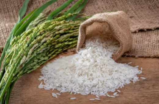 5 sustituto absoluto del arroz arborio en paella