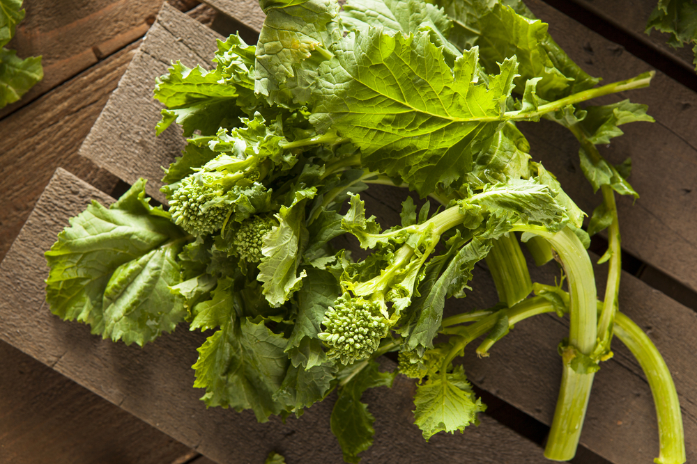 14 sustitutos del brócoli Rabe - Fanatically Food