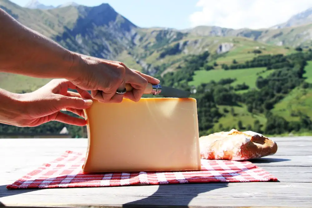 4 sustitutos del queso gruyere en macarrones con queso