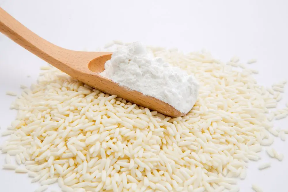 5 sustitutos de la harina de arroz