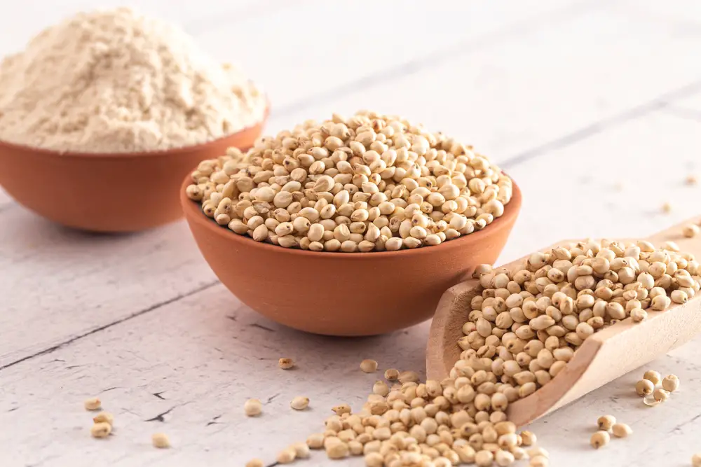 6 sustitutos de la harina de trigo sarraceno
