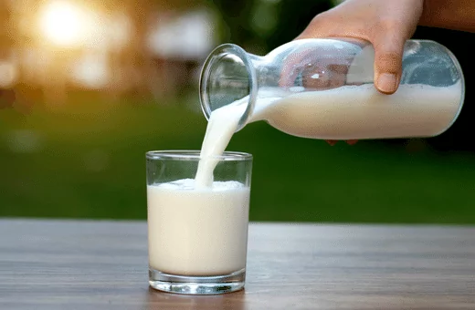 ¿Puedo usar leche de almendras en lugar de leche evaporada? 10 sustitutos