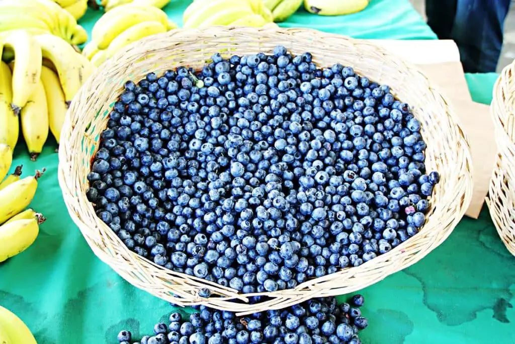 Fruta morada (16 frutas con un tono encantador)