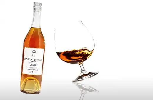 9 mejores sustitutos de Hennessy | Barato y sin alcohol