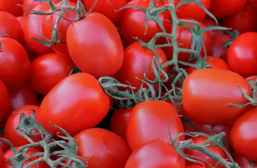 11 mejores sustitutos de tomate cherry