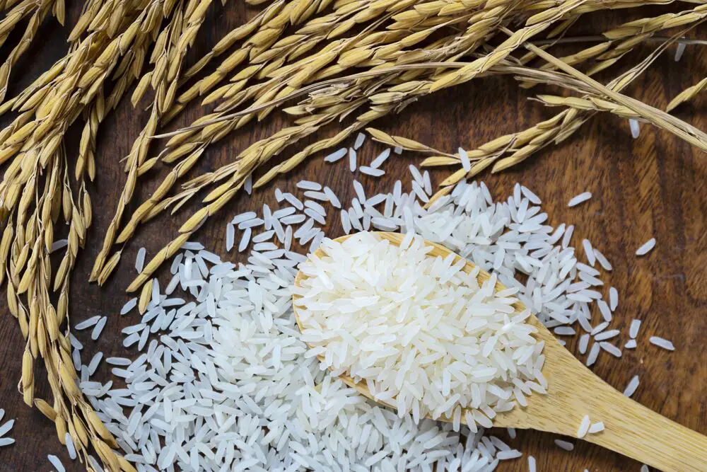 ¿Puedo sustituir el arroz integral por arroz blanco?