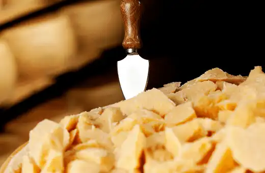 Los 8 mejores sustitutos de la corteza de parmesano (deben incluirse en sus comidas)