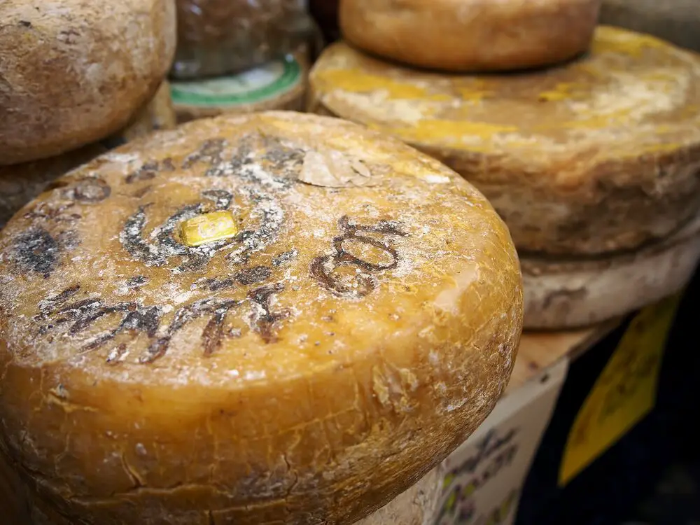 ¿Se puede congelar el queso fontina?