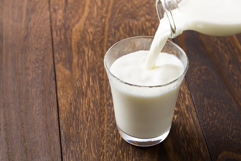 ¿Se puede calentar la leche en el microondas? - Comida fanática