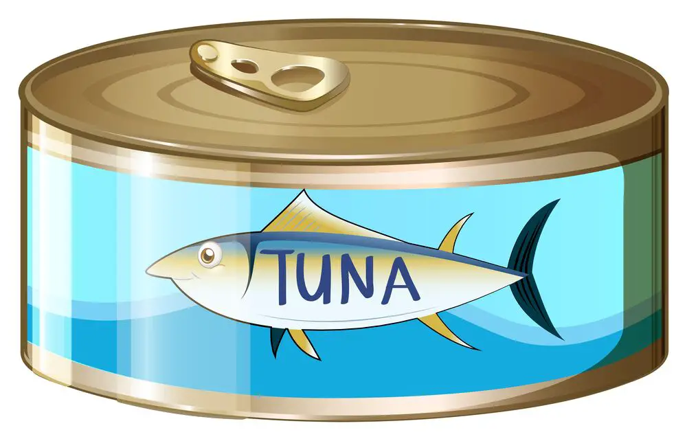 ¿Cuánto dura el atún cocido en la nevera?