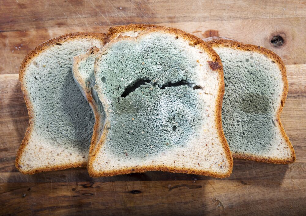¿Cuánto tarda el pan en moldearse?