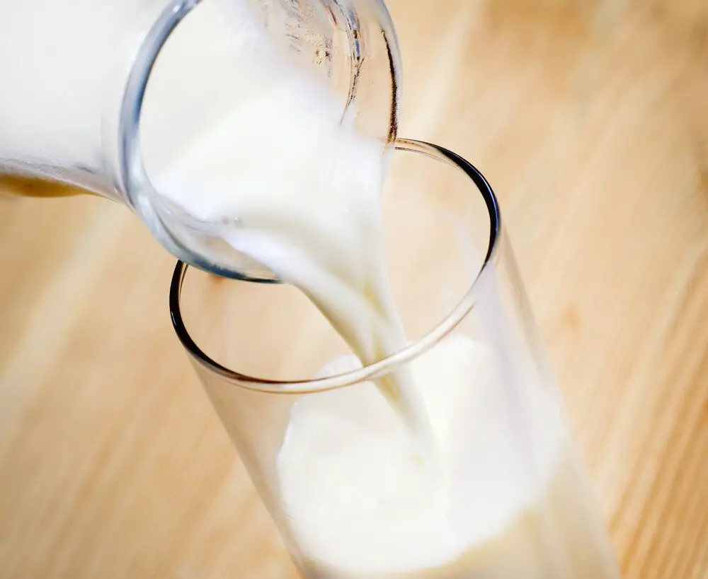 5 sustitutos de la leche desnatada