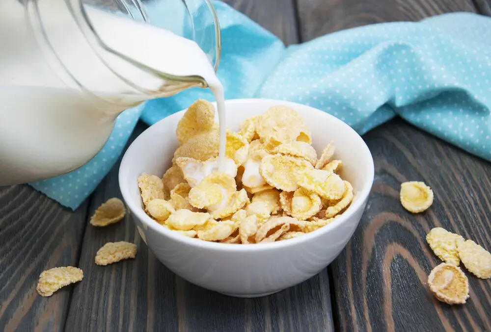 6 sustitutos de la leche en cereales (incluidas las opciones no lácteas)