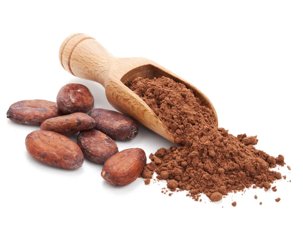 8 de los mejores sustitutos del cacao en polvo