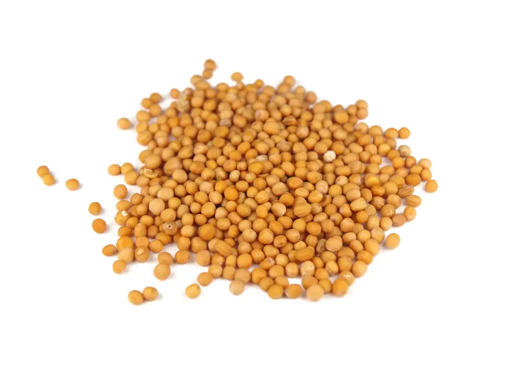 8 sustitutos de semillas de mostaza que definitivamente puedes usar