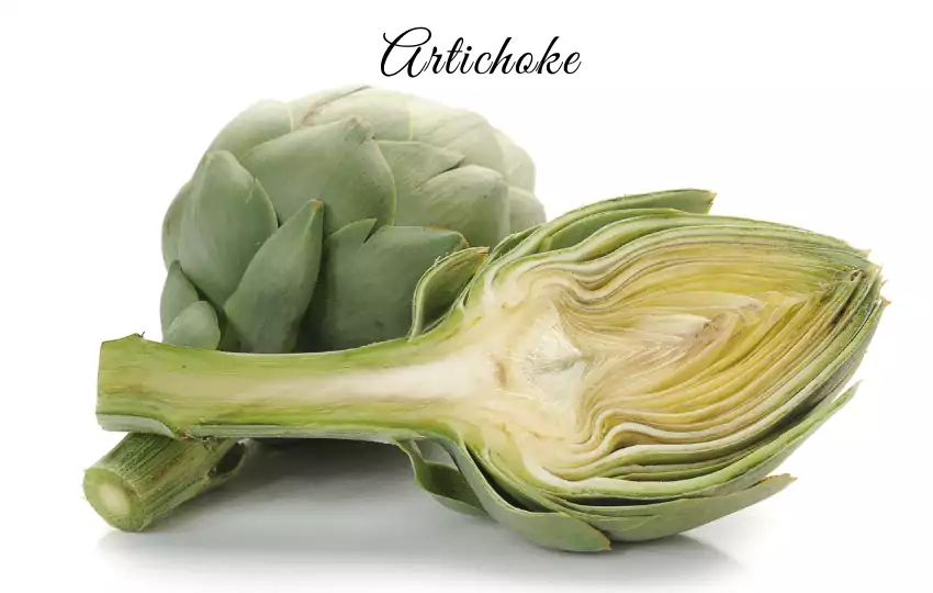 [11] Buen sustituto vegetal de la alcachofa en recetas