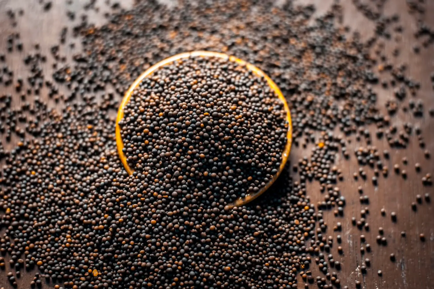 Semillas de mostaza marrón: mostaza con un poco de calor