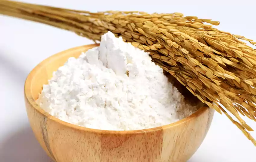 11 mejores sustitutos de la harina de arroz integral/saludable, sin gluten