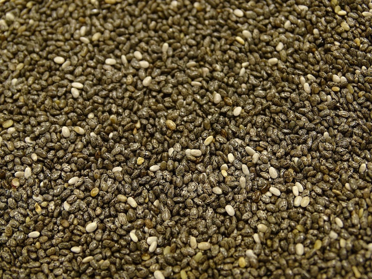 ¿Qué es un buen sustituto de la semilla de chía?