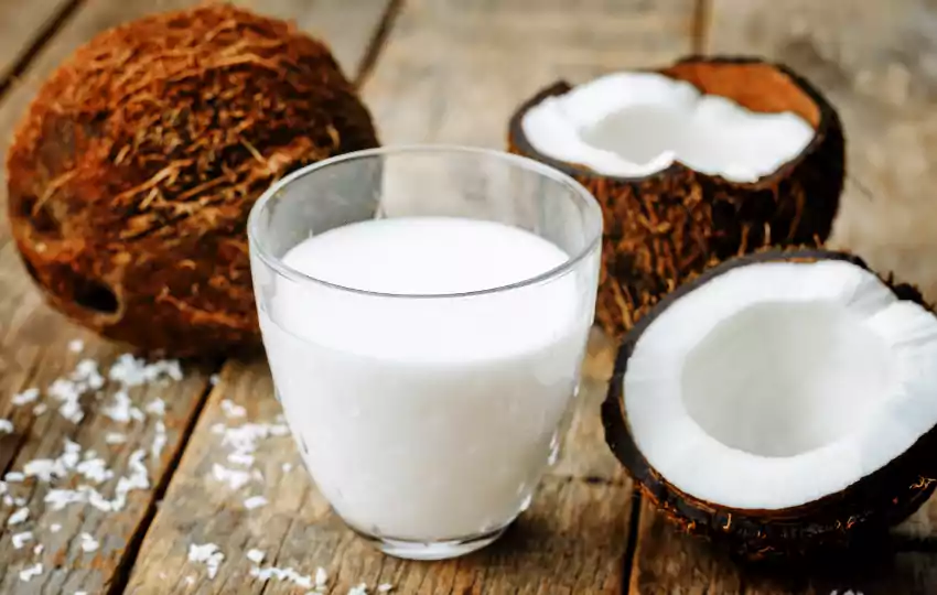 Curry de sustituto de leche de coco | 13 alternativas con vegano