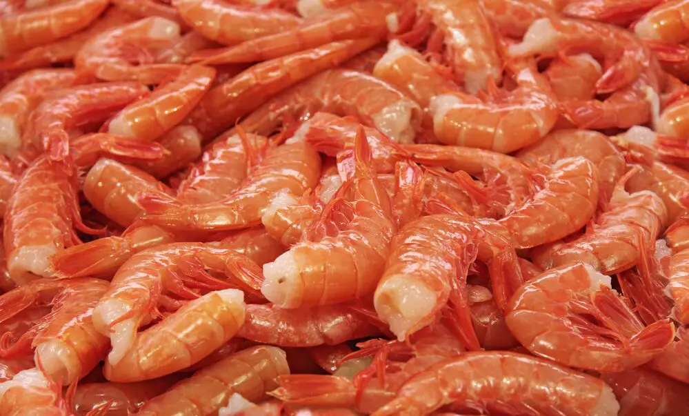 Comer colas de camarones: ¿es saludable y se pueden comer?