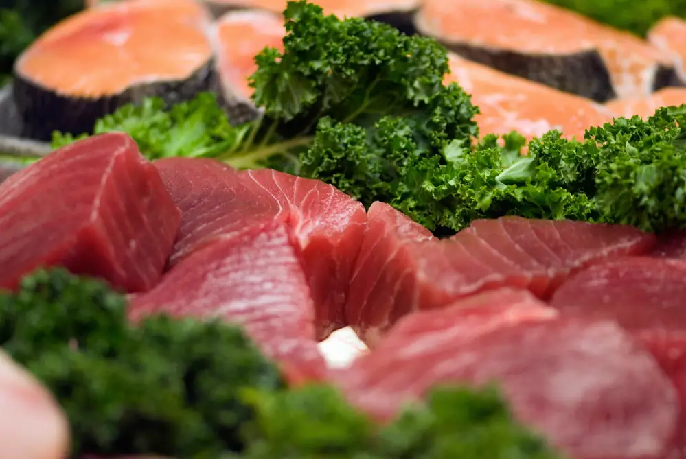 ¿Pueden los vegetarianos comer atún? Usted ya sabe la respuesta