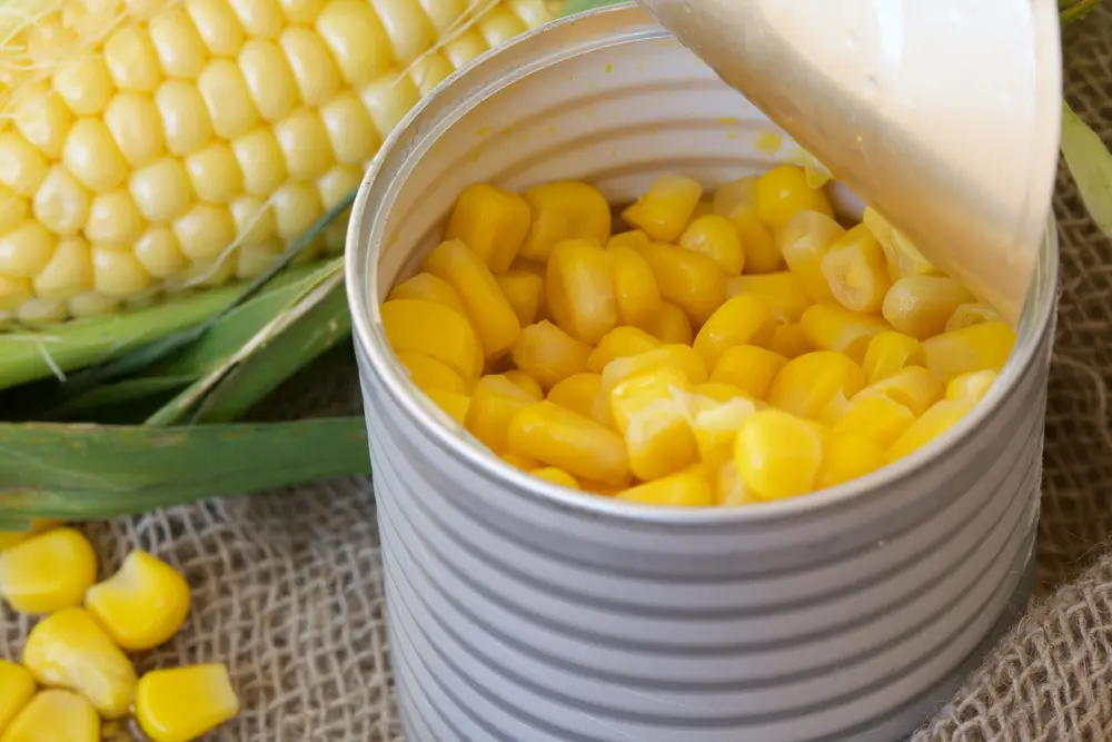 ¿Se puede comer maíz de la lata sin cocinarlo?