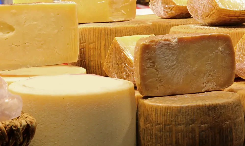 8 de los mejores sustitutos del queso romano
