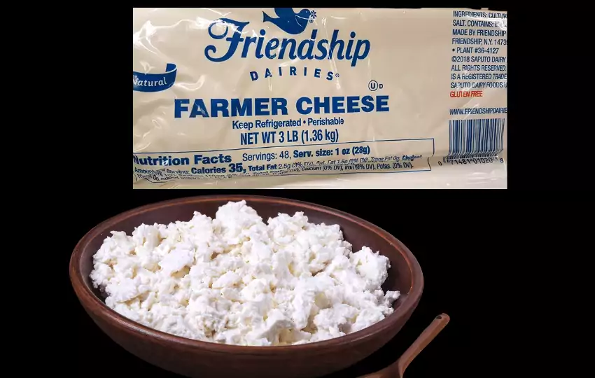 25 sustitutos ideales del queso Farmers