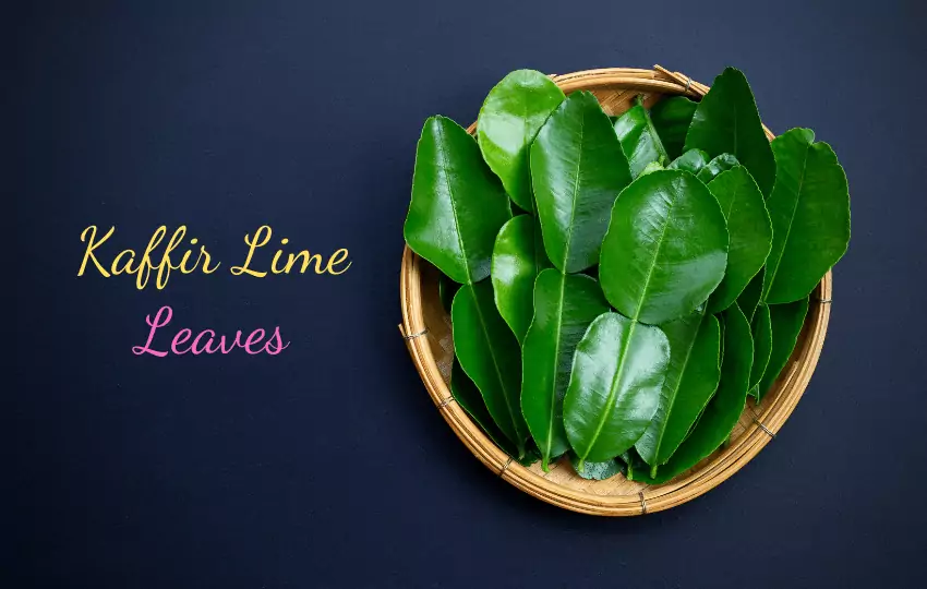 13 sustitutos de hojas de lima kaffir (plato delicioso)