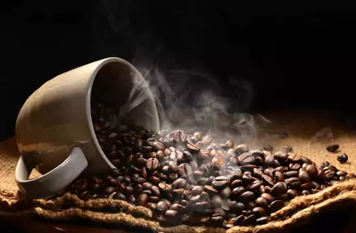 Los 12 mejores sustitutos de semillas de cacao para mejorar el sabor de la cocina