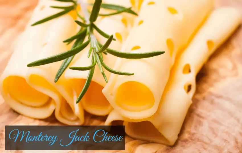 [10] Deliciosos sustitutos veganos del queso Monterey Jack