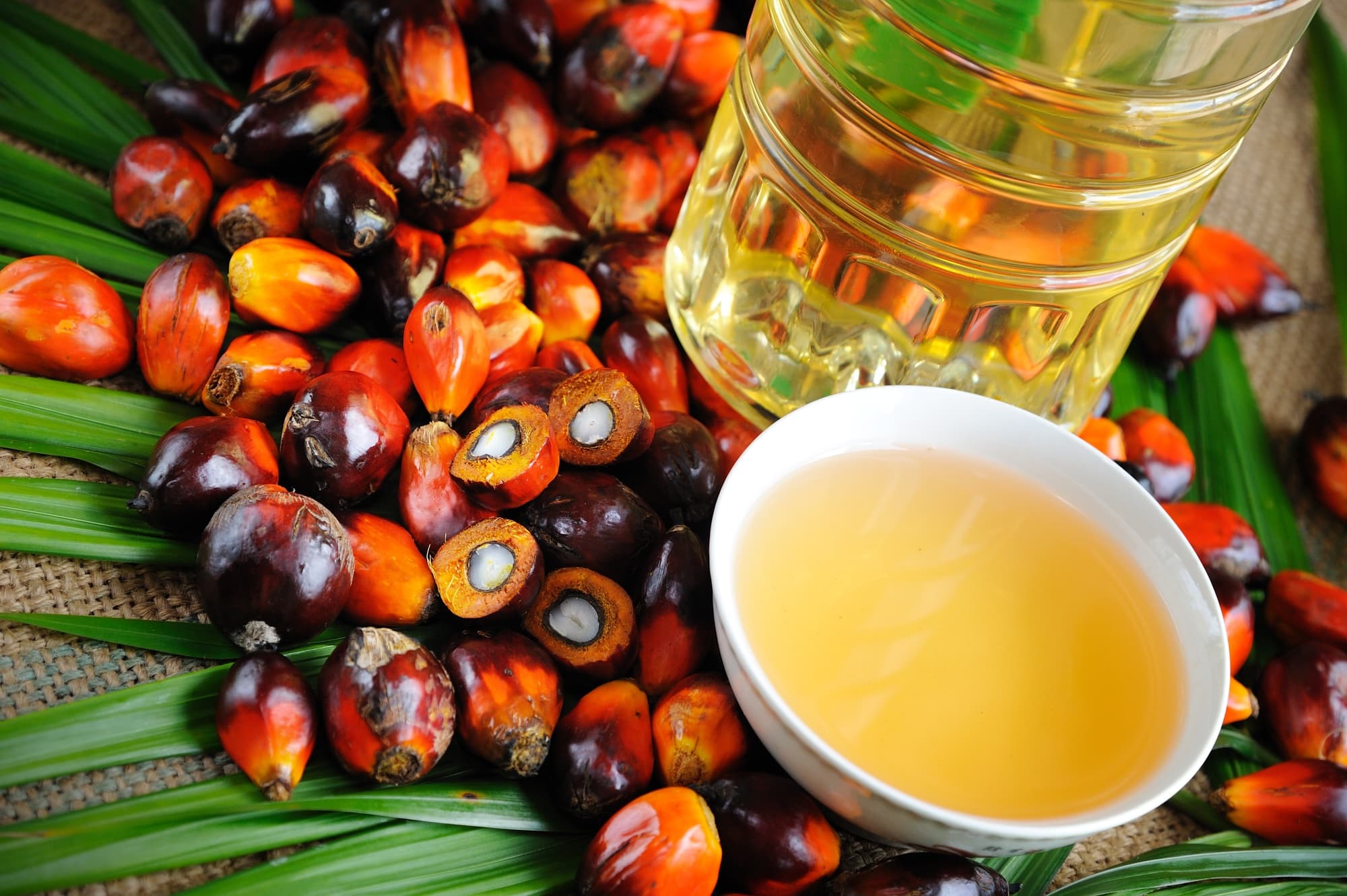 Aceite de palmiste: el aceite de sabor más suave de la palmera
