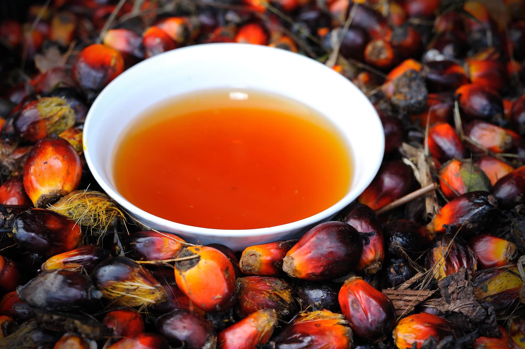 Aceite de palma: un aceite de cocina africano