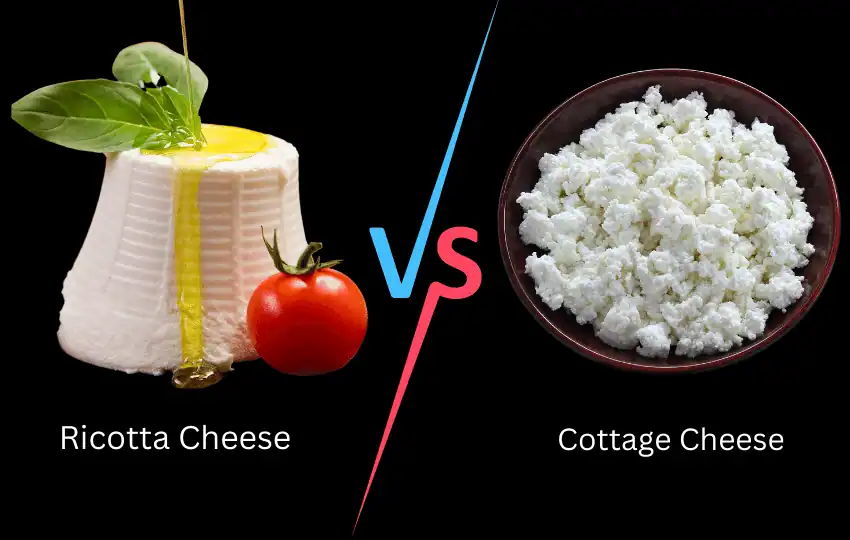 Queso Ricotta VS Queso Cottage: ¿Cuál es la diferencia?