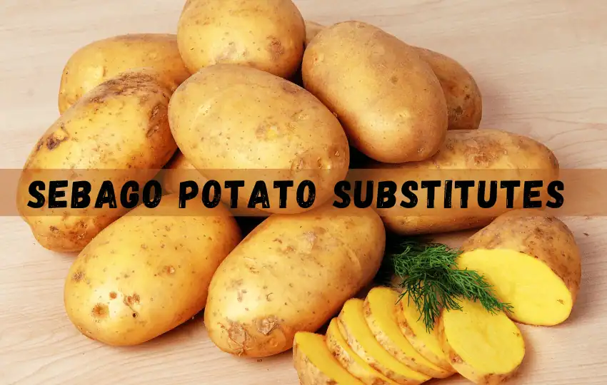 22 sustitutos rápidos de patata Sebago
