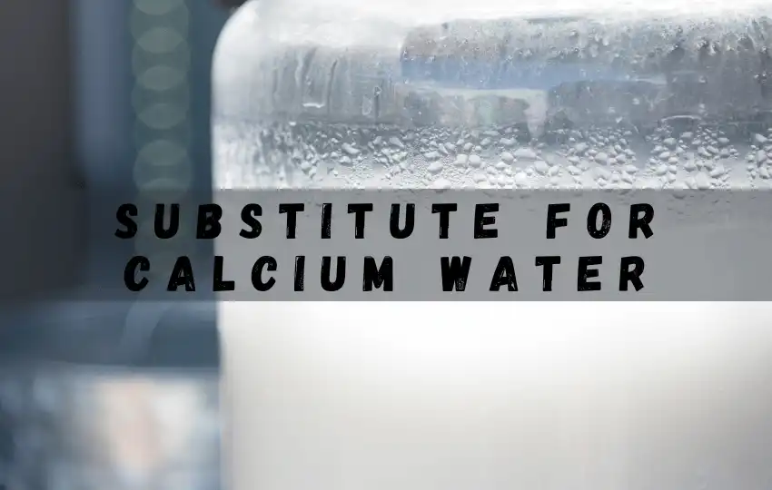 10 sustitutos del agua de calcio