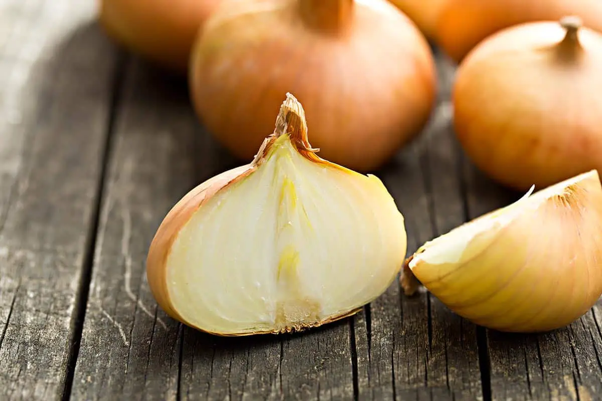 Sustituto de cebolla Vidalia: 11 mejores alternativas para probar