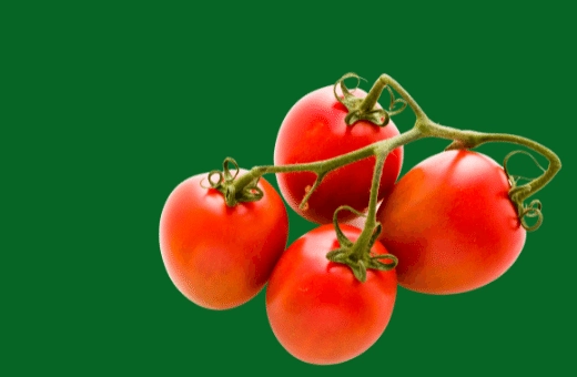 Sustituto de los tomates San Marzano: las 7 mejores alternativas