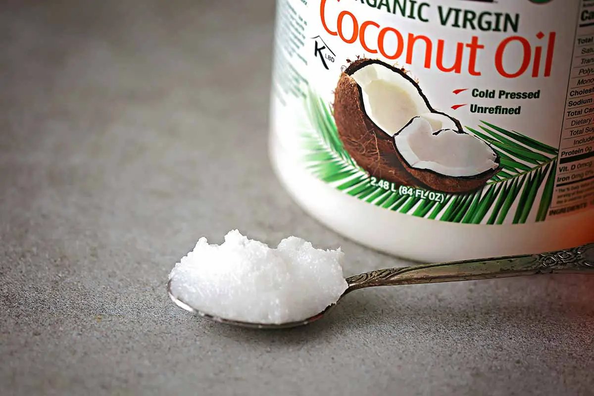 Sustituto del aceite de coco: 8 mejores alternativas para usar.