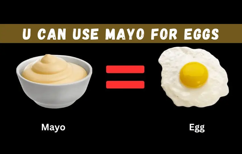 ¿Puedes sustituir la mayonesa por huevos? Una guía para cocinar en casa 2023