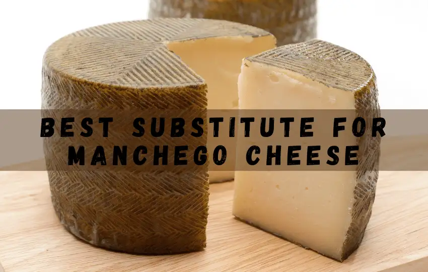 Más de 11 mejores sustitutos del queso manchego