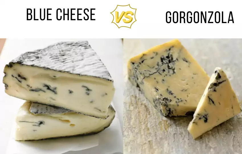 Queso azul VS Gorgonzola: ¿cuál es la diferencia?