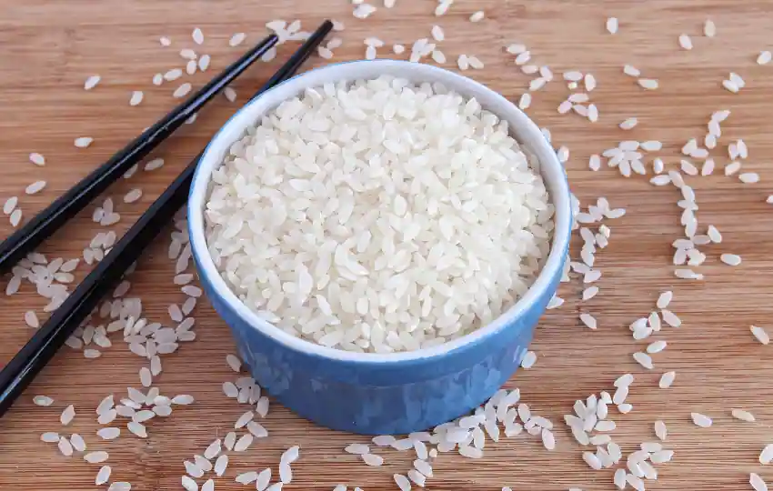 7+mejores sustitutos del arroz Calrose y forma de usar @ 2023 Trending