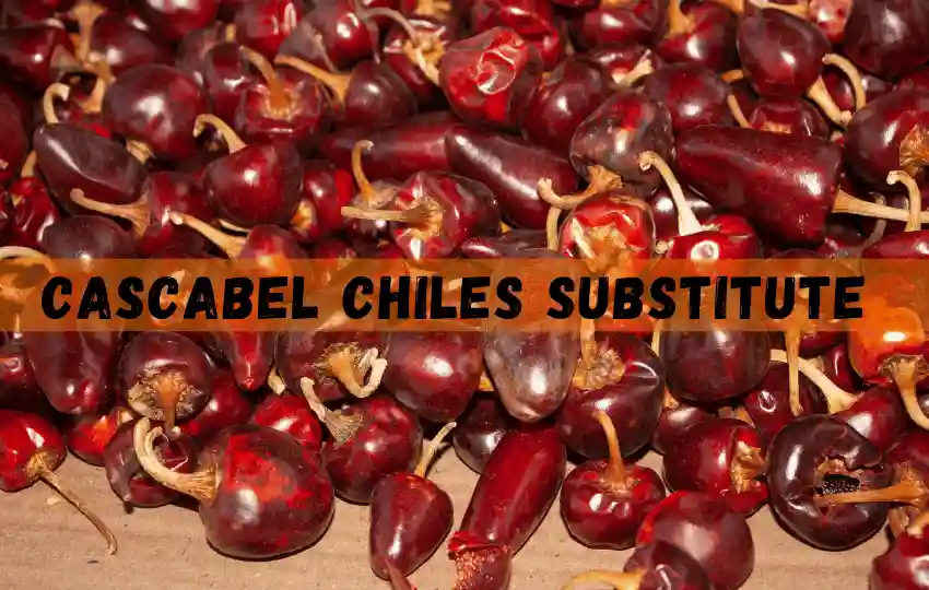 15 mejores sustitutos de Cascabel Chiles