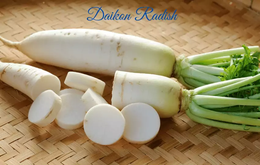 ¿Qué puedes sustituir por el rábano daikon (13 deliciosas listas)?